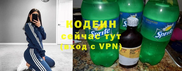 крисы Пересвет