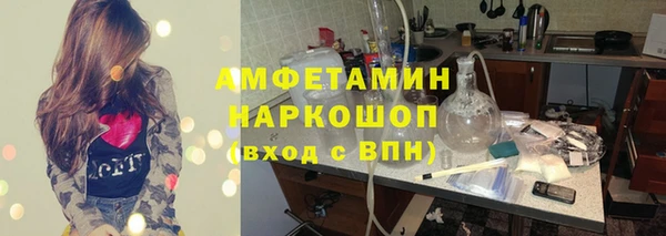 индика Осинники