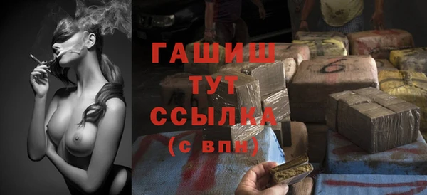 индика Осинники
