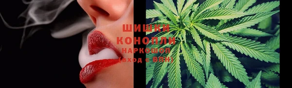 стафф Осташков