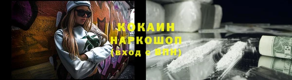 крисы Пересвет
