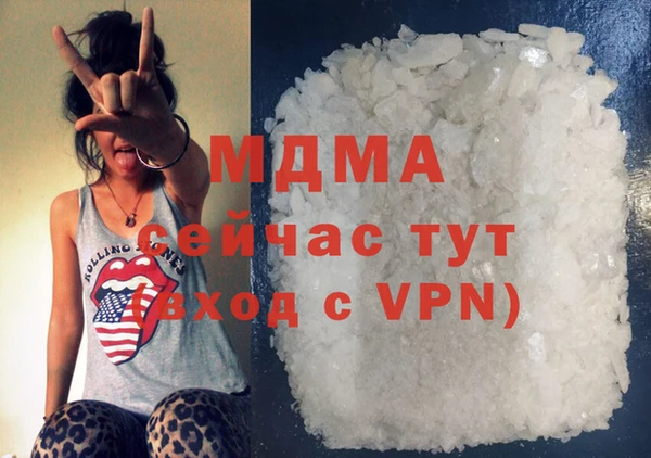 индика Осинники