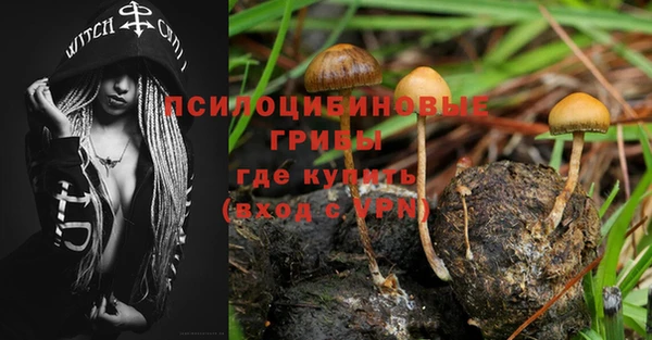 стафф Осташков