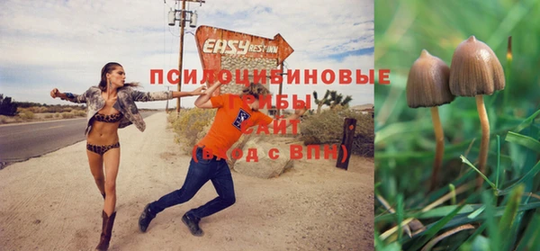 метадон Пестово