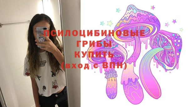 индика Осинники