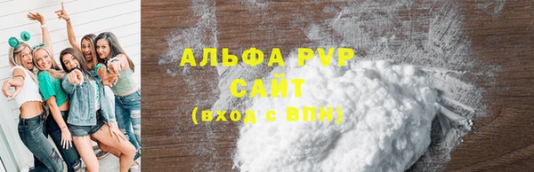 крисы Пересвет