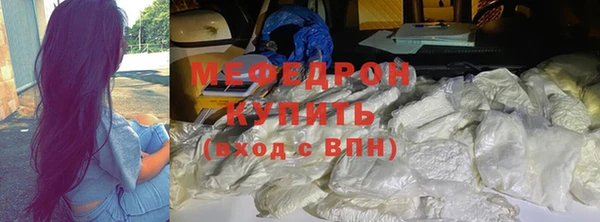 индика Осинники