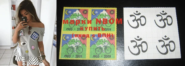 индика Осинники