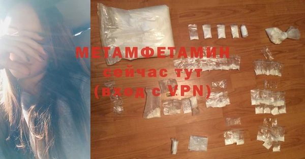 индика Осинники