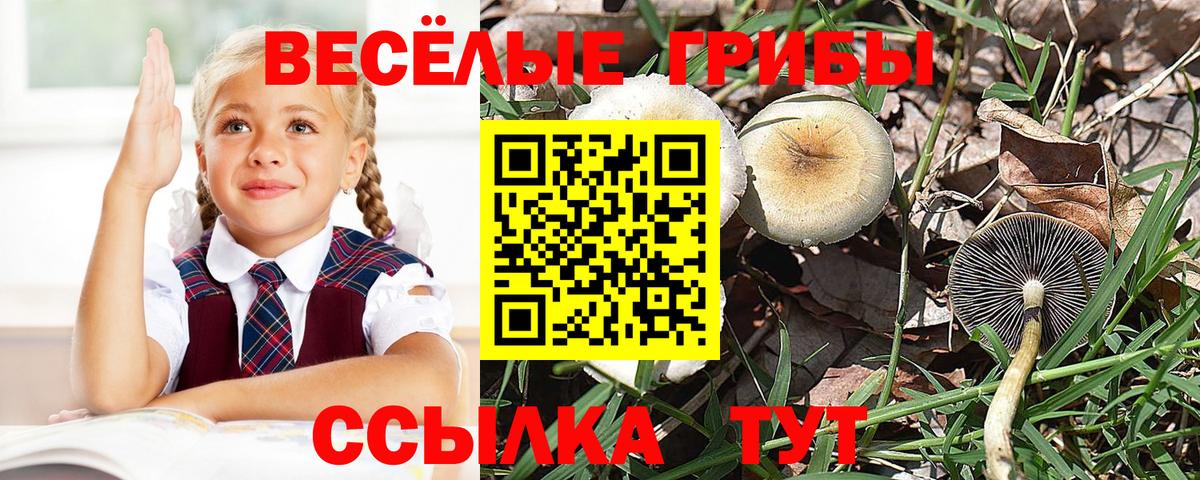 Краснознаменск  Псилоцибиновые грибы Magic Shrooms  Вход с VPN  Галлюциногенные грибы MAGIC MUSHROOMS 